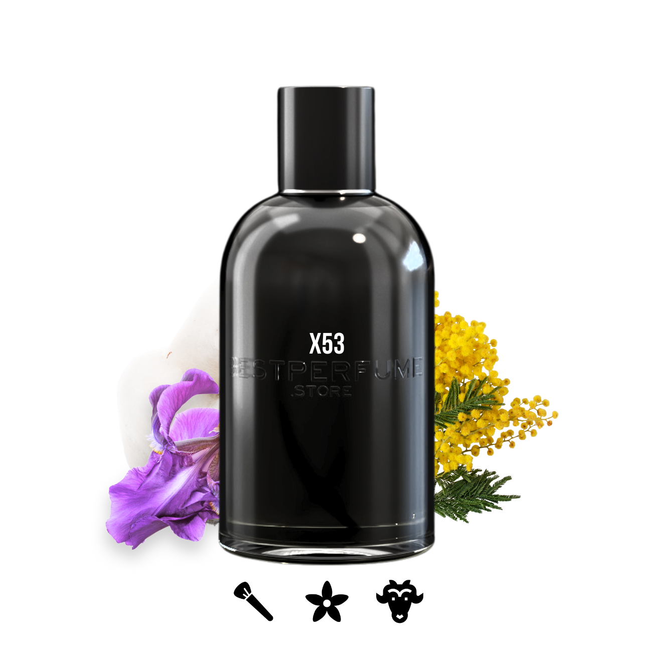 X53