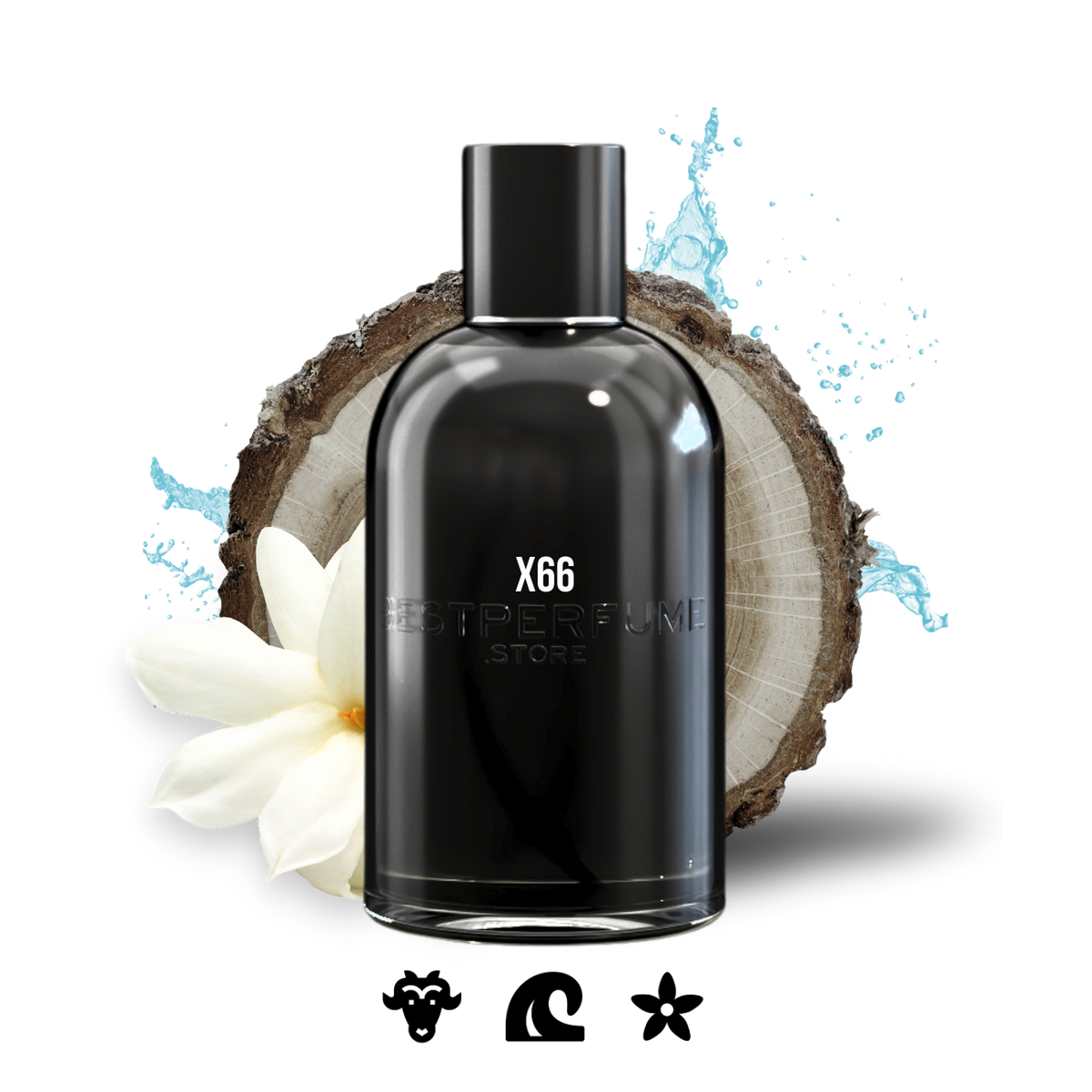 X66