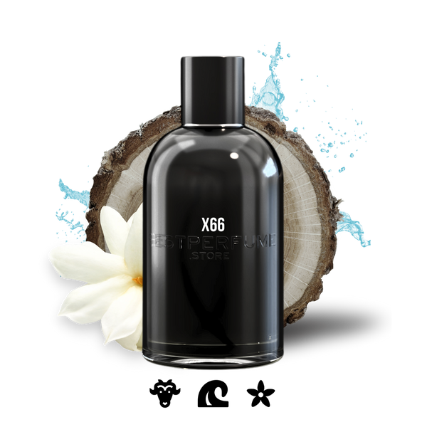 X66 - BestPerfume.Store