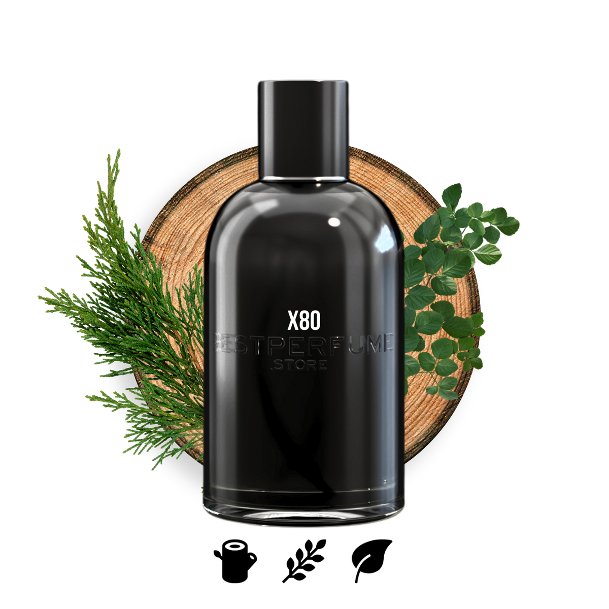 X80