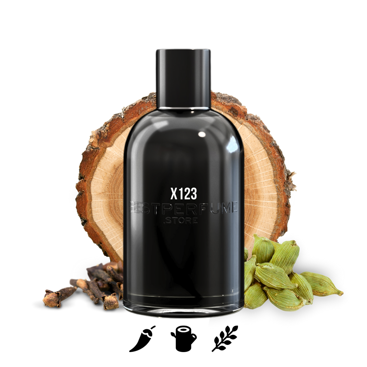 X123