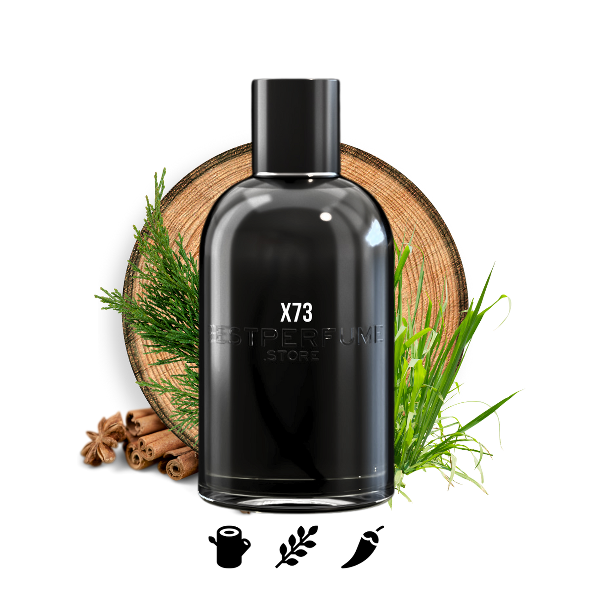 X73