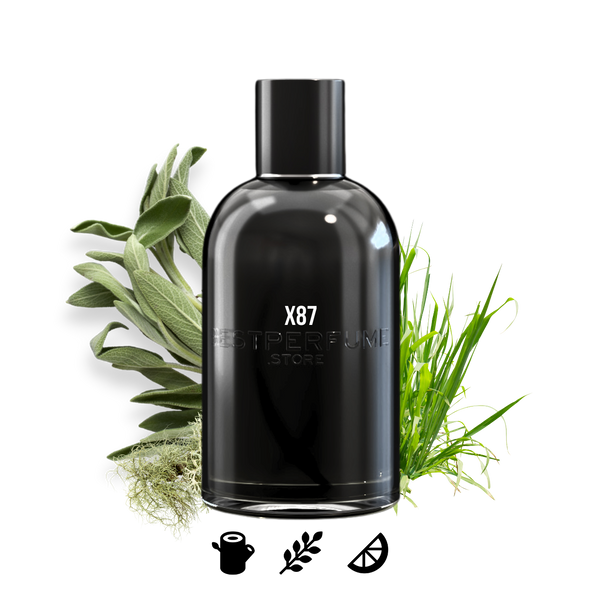 X87 - BestPerfume.Store
